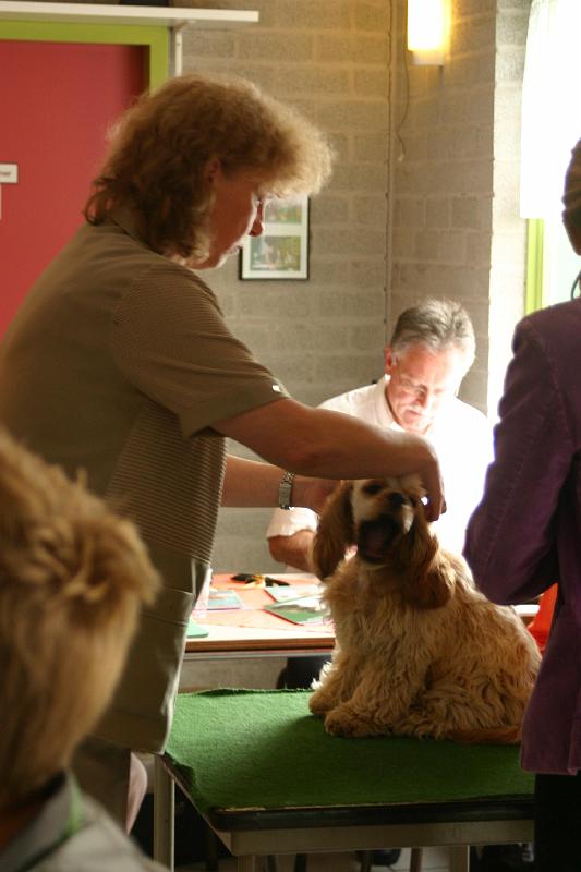 JH dag 2008 088.jpg